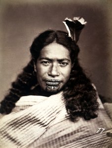 Portret Maorysa z wytatuowaną twarzą, ok. 1886-88